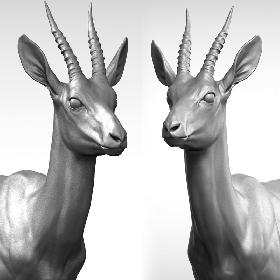 3D Gazelle antelope  Gazella model